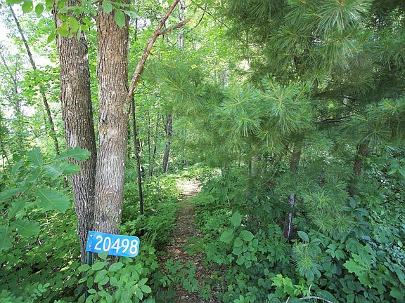 4th image of 20498 Hay Lake Rd