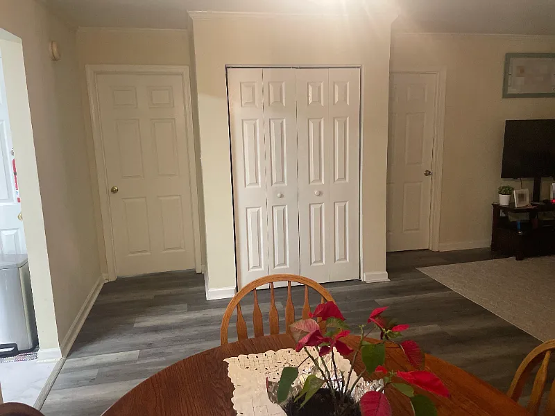 Living Room Closet