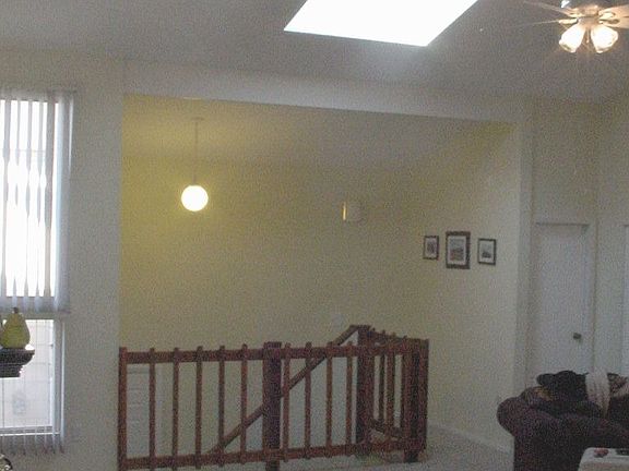  Lots Of Natural Light 