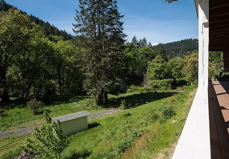 Paradise Creek Rd — Photo 11