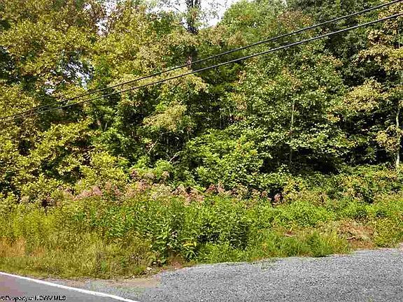 5th image of 9821 Brandonville Pike