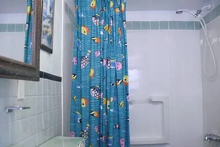 Hand held shower option.