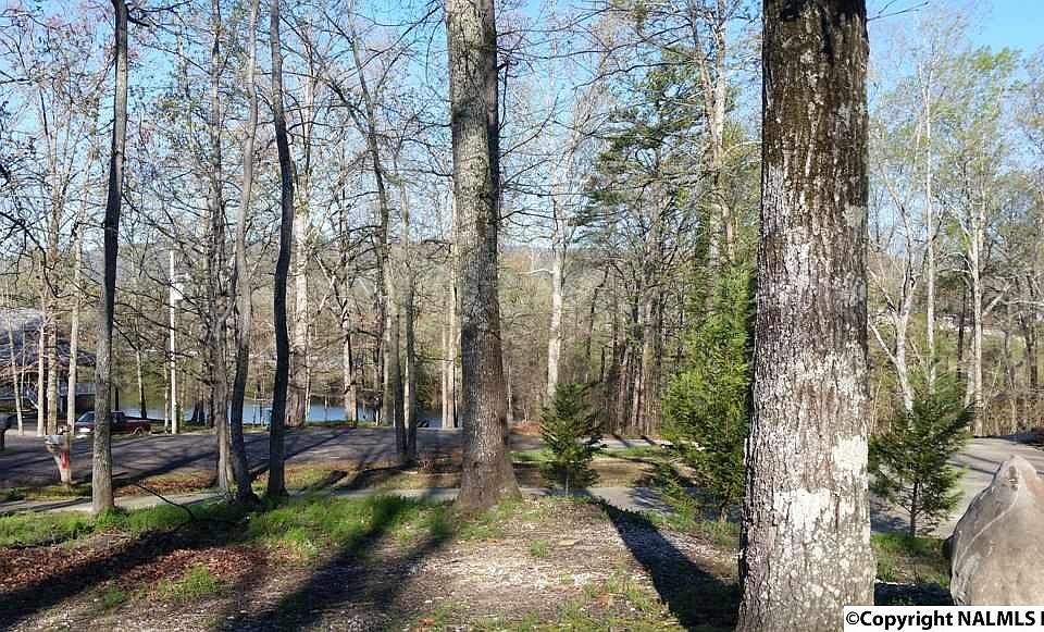 2nd image of Frances Cir