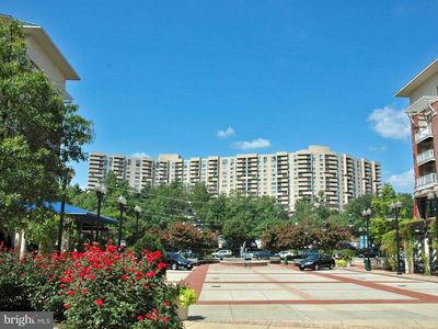 1101 S Arlington Ridge Rd APT 304, Arlington, VA, 22202