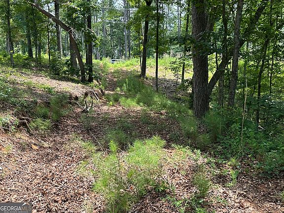 5th image of LOT 314 Pebble Trce