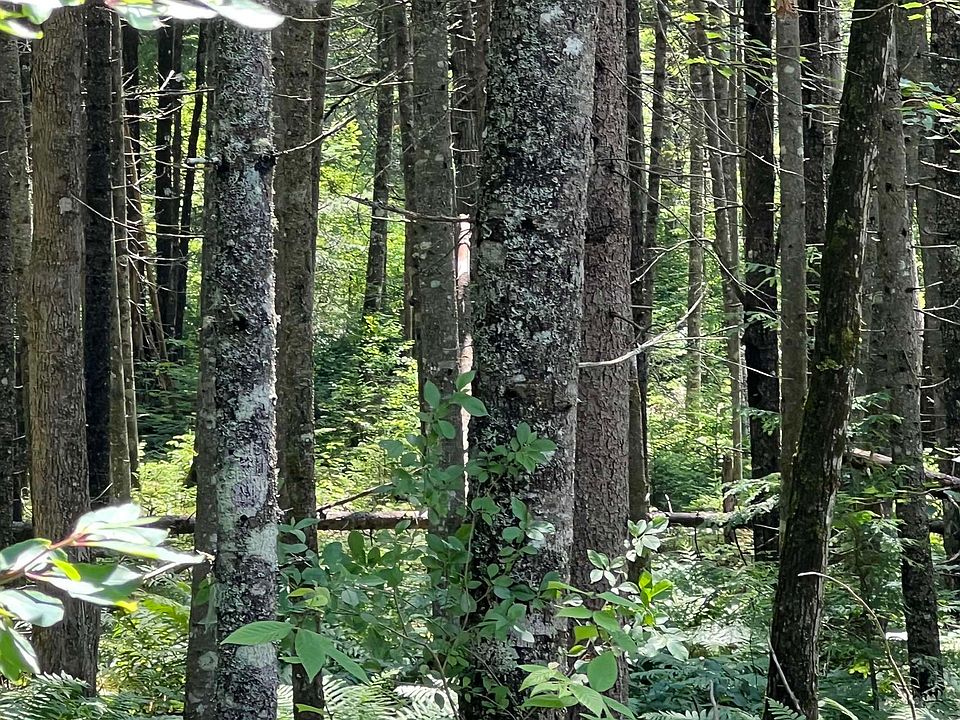 142 Mirror Lake Estates Dr, Whitefield, NH 03598 MLS 4960542 Zillow