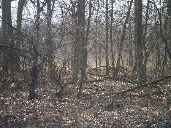 4th image of 2033 Jasica Ct