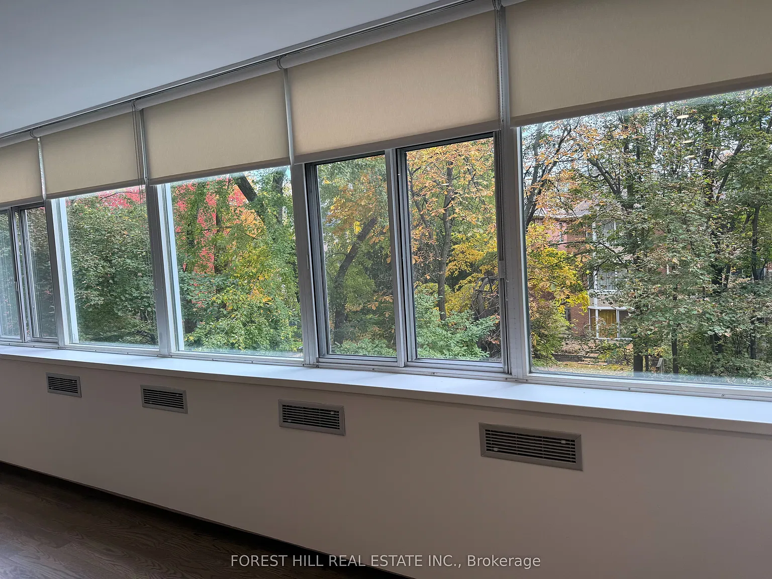 1 bed, $3,600 — Photo 4