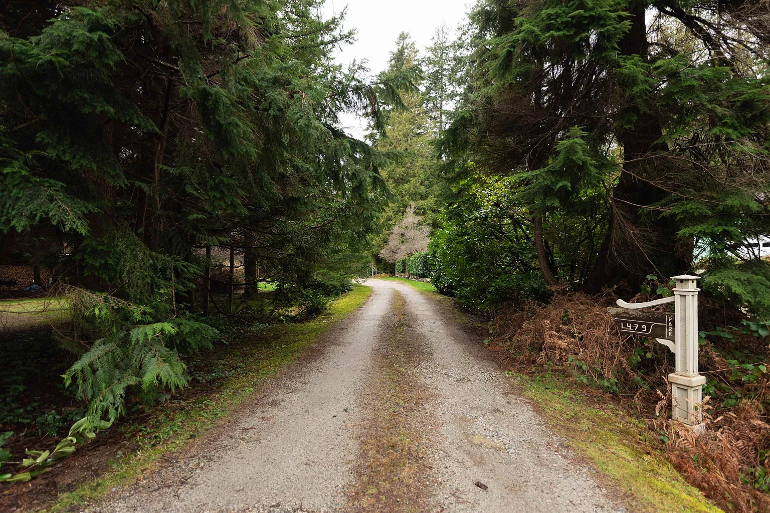 1479 Park Ave photo 1