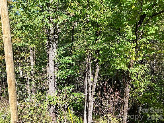 5th image of 0 Buckeye Haven Rd #16