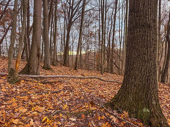 26th image of this home