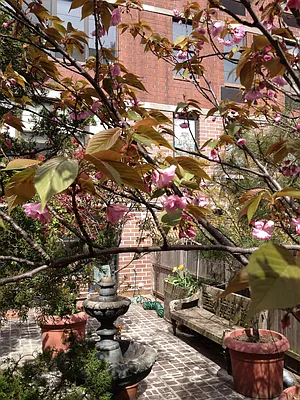 Rented by Halstead Real Estate | media 17