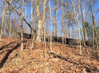 99999 Old Marshall Hwy #3, Woodfin, NC 28804