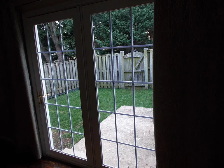 Looking into Back Yard