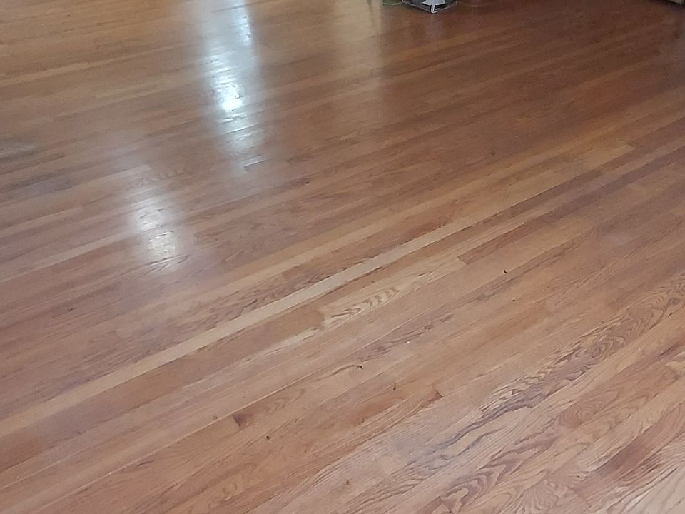 2nd image of 7347 Amherst Ave Floor 1