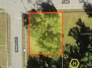 423 N Randolph Ave, Kissimmee, FL 34741