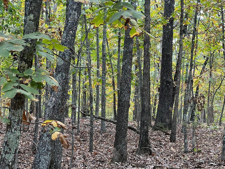 1st image of Lot 3 County Road 113