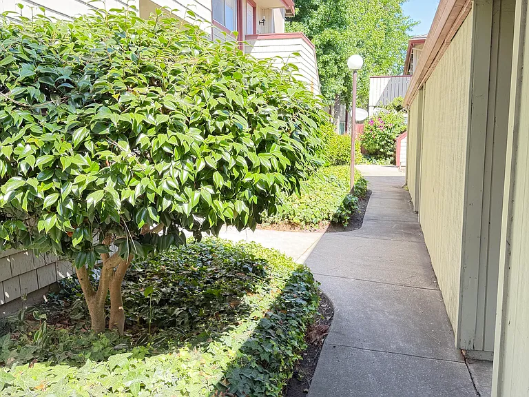 1029 Cheryl Ann Cir #65 — Photo 16