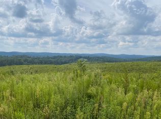 748 Arwine Rd #4, Decatur, TN 37322