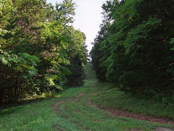4th image of 1125 Dawson Rd
