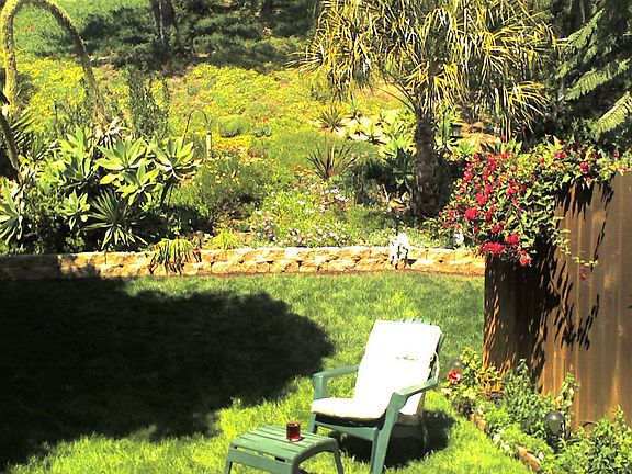 Spacious and private backyard