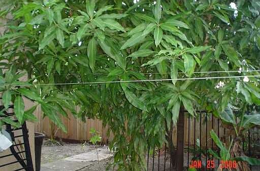 5th image of 4636 NW 185th St