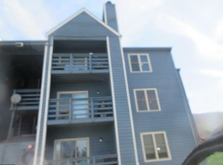 29 Herzwoods Rd #304, Davis, WV 26260