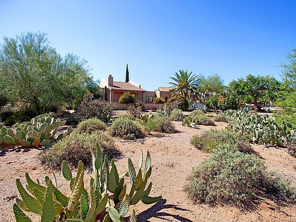 Rear view from open space