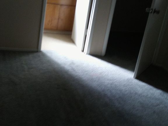 Master Bedroom w/ Walk in closet