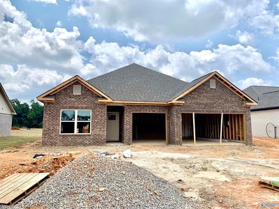 244 Paladin St, New Market, AL, 35761