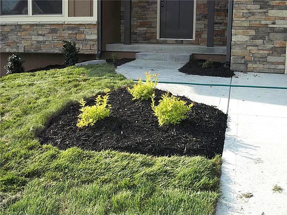 Picture of new sod and some of the landscaping including trees.