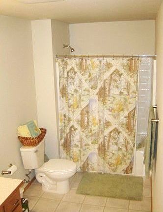 Upstairs Main Bath tub shot