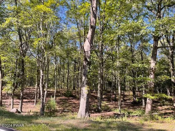 36 Mount Shadow Lane & Roosie Rd, Bushkill, PA 18324