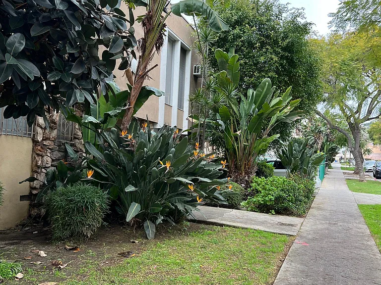 1035 N Edinburgh Ave #11B — Photo 16