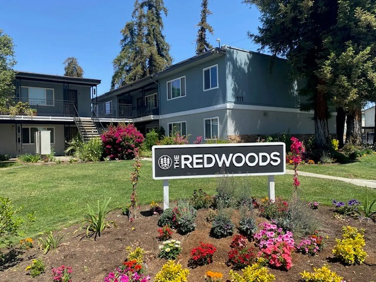 The Redwoods — Photo 2