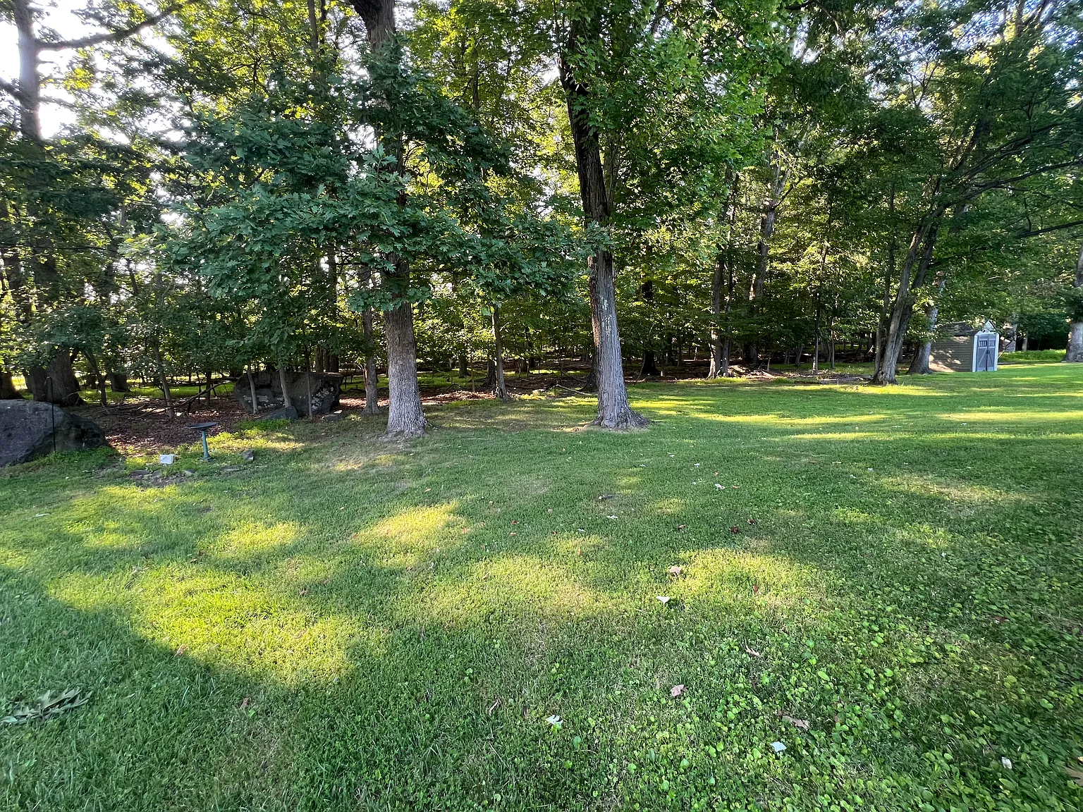 5 bed, 1164 sqft, $3,400 — Photo 4