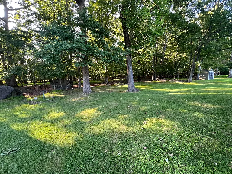 1318 Lincoln Woods Dr — Photo 4