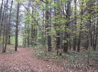 5 Ac Peck Rd, Salisbury Center, NY 13454