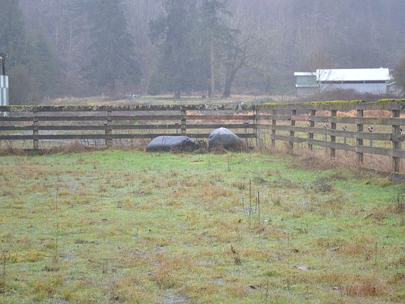 Pasture and corral