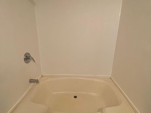 Master bathroom tub and shower
