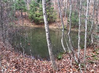 LOT-222B Casey Mountain Rd LOT 222B, Purlear, NC 28665