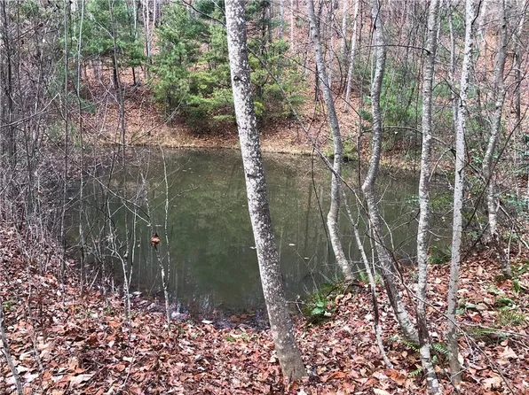 LOT-222B Casey Mountain Rd Lot 222B, Purlear, NC 28665