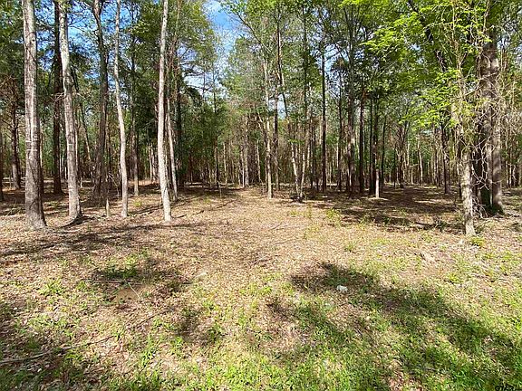 2nd image of 1720 County Road 3305