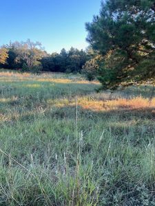 19661 Dove Ridge Ln, Lindale, TX, 75771