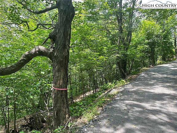 4th image of TBD Thomas Drive and Abbie Trail