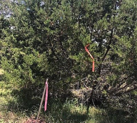 2nd image of 4819 Owen Ln