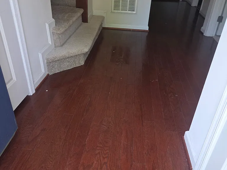 5311 Smiths Cove Ln — Photo 11