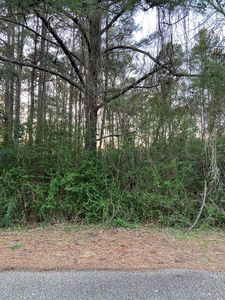 0 Frances St, Hattiesburg, MS, 39402