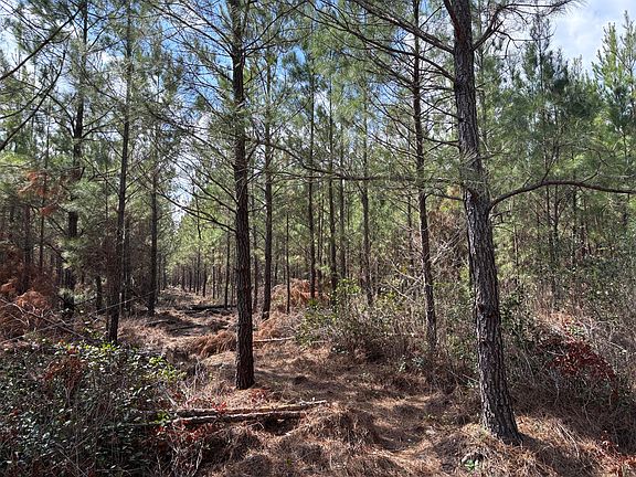 5th image of 11 Red Oak Rd