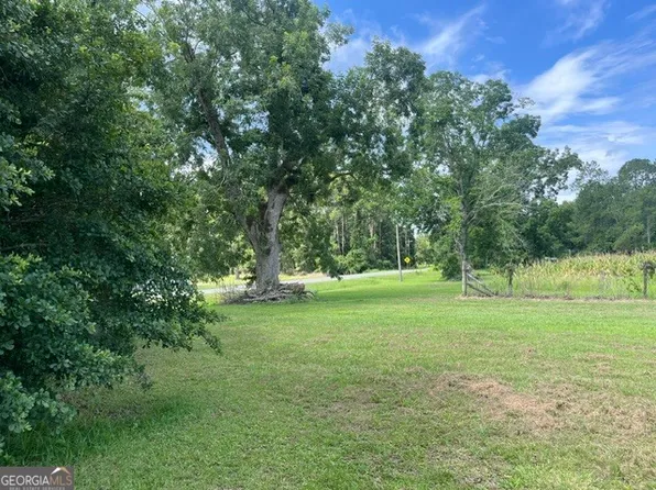4180 McConnell Bridge Rd, Adel, GA 31620